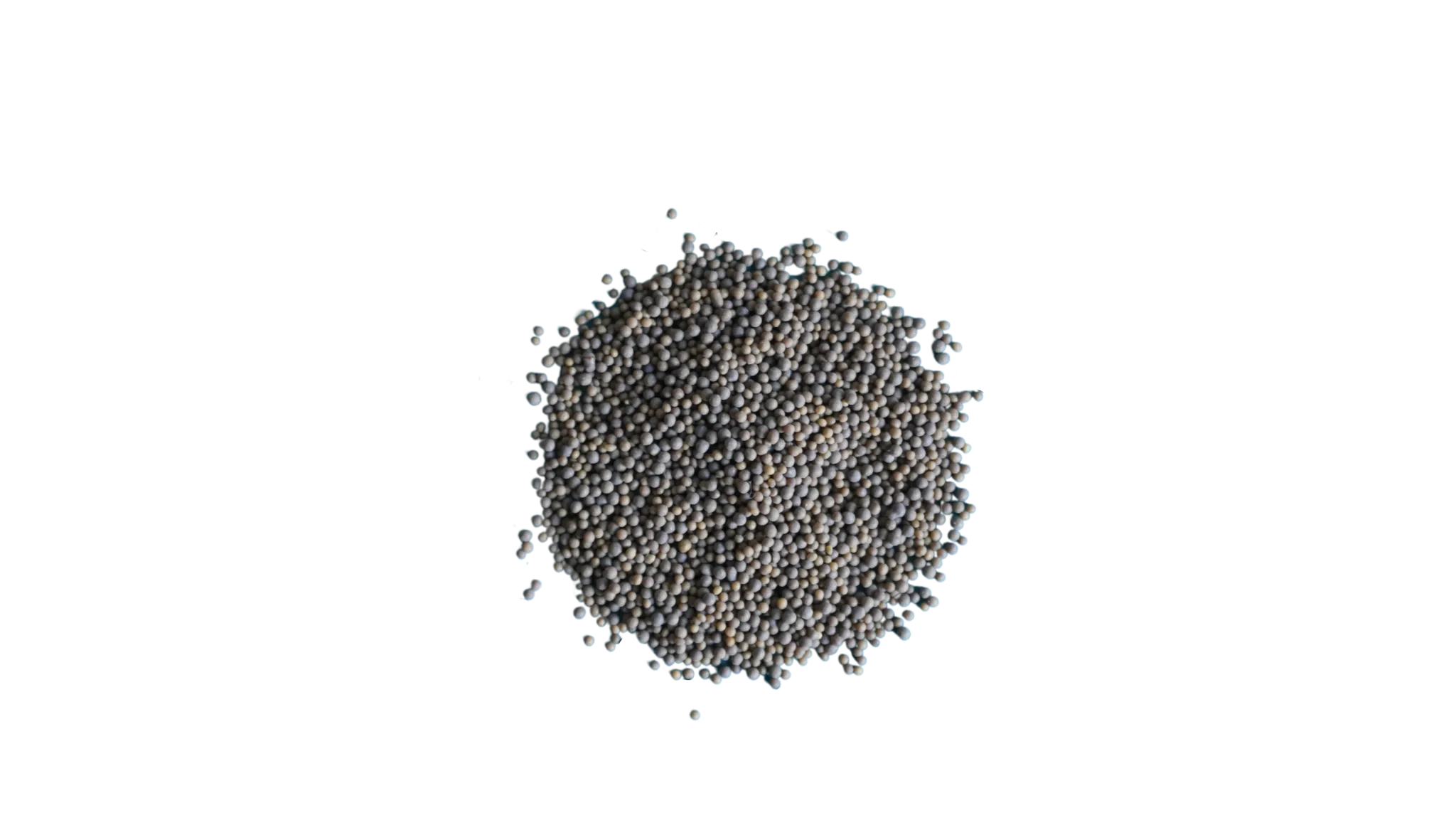 Ashwagandha Microgranules