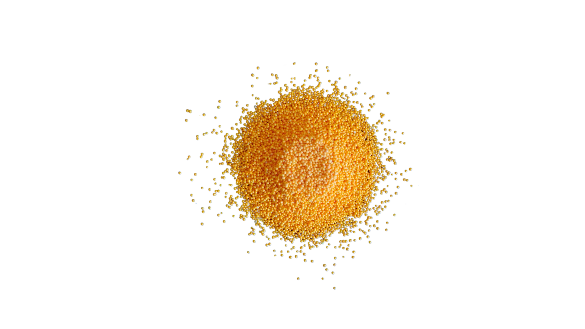 Coenzyme Q10 Microgranules