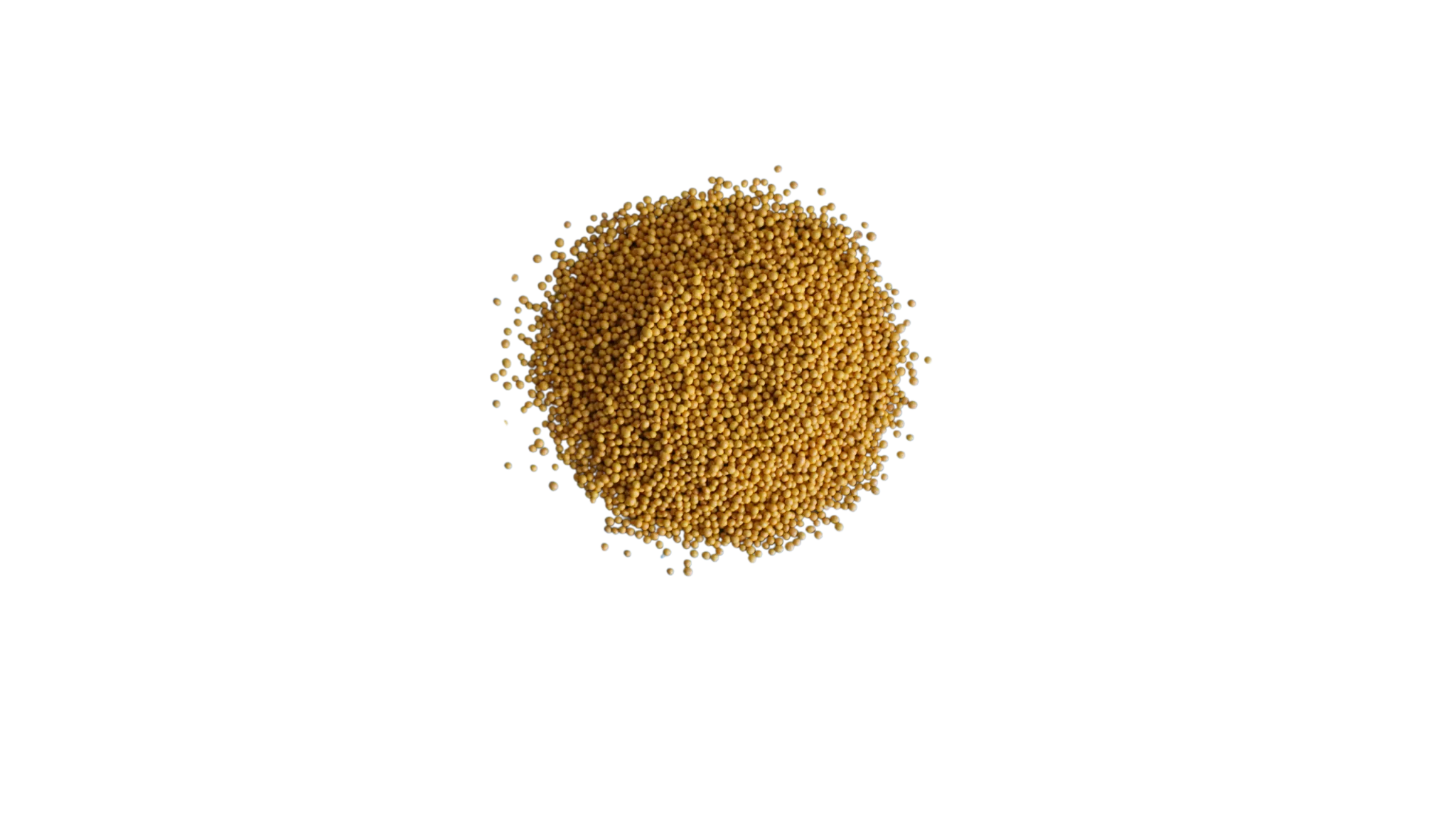 Curcuma Microgranules