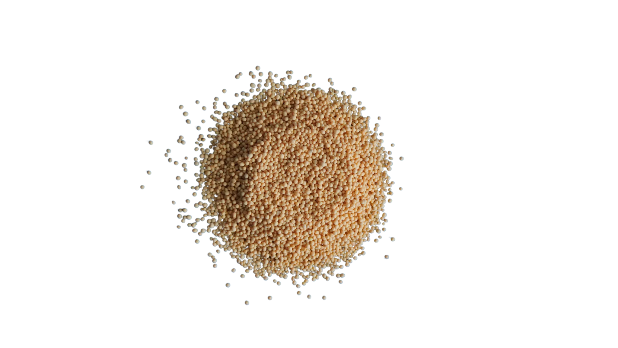 Vitamin B2 Microgranules